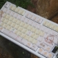 Freehand Brushwork 104+16 PBT Keycaps Set Backlit / Opaque Cherry / QX3 Profile for MX Switches Keyboard